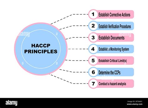 10 haccp principes.